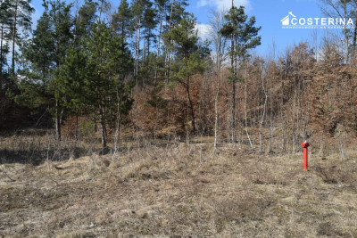 Działki letniskowe w Parchowskim Młynie 200 metrów od Jeziora Mausz - Parchowo   -
pomorskie Zdjęcie nr 8