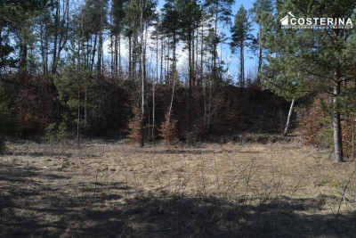 Działki letniskowe w Parchowskim Młynie 200 metrów od Jeziora Mausz - Parchowo   -
pomorskie Zdjęcie nr 9