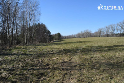 Działki letniskowe na sprzedaż Liniewo Kaszuby  Tylko w Costerina - Liniewo   -
pomorskie