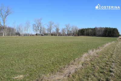 Działki letniskowe na sprzedaż Liniewo Kaszuby  Tylko w Costerina - Liniewo   -
pomorskie Zdjęcie nr 2