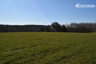 Działki letniskowe na sprzedaż Liniewo Kaszuby  Tylko w Costerina - Liniewo   -
pomorskie Zdjęcie nr 6