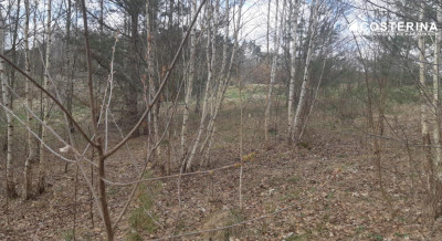Działka budowlana z widokiem na staw Nowy Bukowiec gm Stara Kiszewa - Nowy Bukowiec   -
pomorskie Zdjęcie nr 2