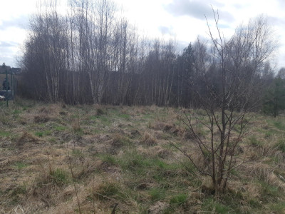Działka budowlana z widokiem na staw Nowy Bukowiec gm Stara Kiszewa - Nowy Bukowiec   -
pomorskie Zdjęcie nr 3