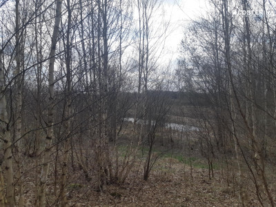 Działka budowlana z widokiem na staw Nowy Bukowiec gm Stara Kiszewa - Nowy Bukowiec   -
pomorskie Zdjęcie nr 5