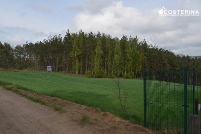 Tourism Investment Plot with Direct Lake Access Łączyno Kashubia - Łączyno   -
pomorskie Zdjęcie nr 13