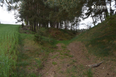 Tourism Investment Plot with Direct Lake Access Łączyno Kashubia - Łączyno   -
pomorskie Zdjęcie nr 14