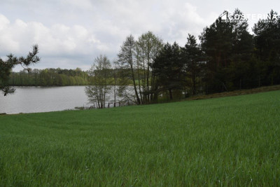 Tourism Investment Plot with Direct Lake Access Łączyno Kashubia - Łączyno   -
pomorskie Zdjęcie nr 7