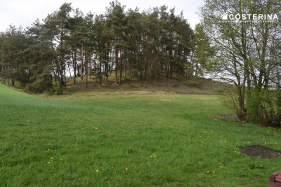 Tourism Investment Plot with Direct Lake Access Łączyno Kashubia - Łączyno   -
pomorskie Zdjęcie nr 8