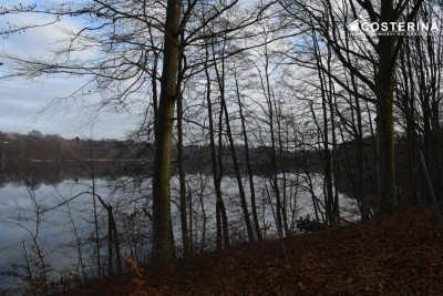 Nowe Polaszki działka rekreacyjna 1500 m nad jeziorem Hutowym  89 000 zł - Nowe Polaszki   -
pomorskie Zdjęcie nr 9