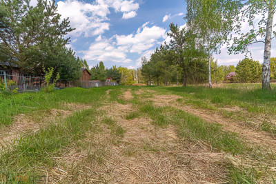 Wyjątkowy teren przy lesie Idealne pod Twój dom - Brzezinka Średzka  -
dolnośląskie Zdjęcie nr 11