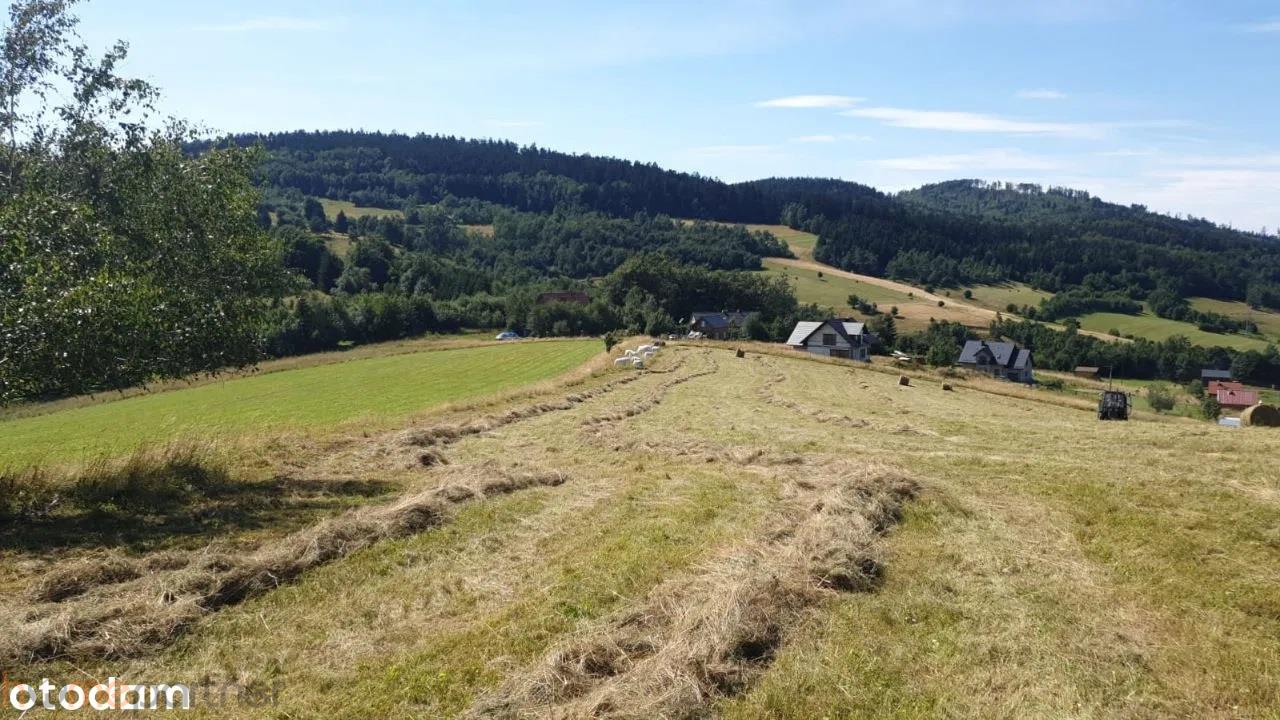 Działka w Górach Sowich - Walim  -
dolnośląskie Zdjęcie nr 1
