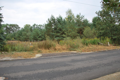 Już niewiele jest takich miejscDolina Baryczy - Sułów  -
dolnośląskie Zdjęcie nr 7