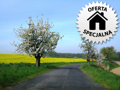 Spokojne miejsce na Twój dom we Wrocławiu - Świniary  -
dolnośląskie Zdjęcie nr 5