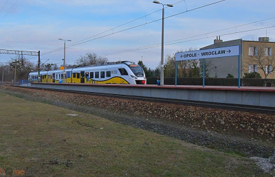 Piękna działka blisko lasu Miłoszyce - Miłoszyce  -
dolnośląskie Zdjęcie nr 7