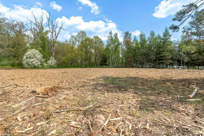 Wyjątkowy teren przy lesie Idealne pod Twój dom - Brzezinka Średzka  -
dolnośląskie Zdjęcie nr 10