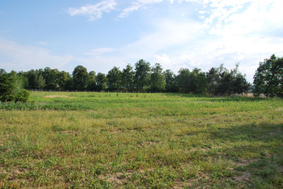 Spokojne miejsce na Twój dom we Wrocławiu - Świniary  -
dolnośląskie Zdjęcie nr 3