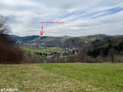 Działka w Górach Sowich - Walim  -
dolnośląskie Zdjęcie nr 13