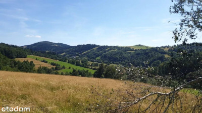 Działka w Górach Sowich - Walim  -
dolnośląskie Zdjęcie nr 8