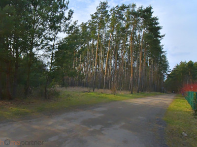 Piękna działka blisko lasu Miłoszyce - Miłoszyce  -
dolnośląskie Zdjęcie nr 5