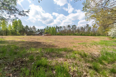 Wyjątkowy teren przy lesie Idealne pod Twój dom - Brzezinka Średzka  -
dolnośląskie Zdjęcie nr 8
