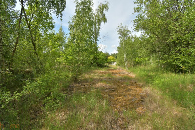 Działka przemysłowa Wałbrzych - Wałbrzych Stary Zdrój  -
dolnośląskie Zdjęcie nr 12