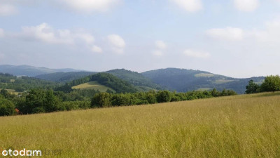 Działka w Górach Sowich - Walim  -
dolnośląskie Zdjęcie nr 12