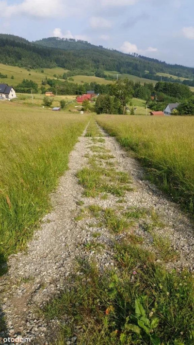 Działka w Górach Sowich - Walim  -
dolnośląskie Zdjęcie nr 9