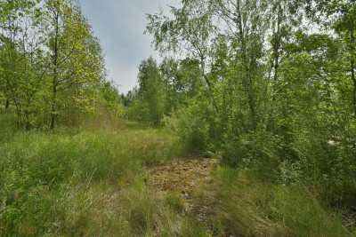 Działka przemysłowa Wałbrzych pod inwestycję - Wałbrzych Stary Zdrój  -
dolnośląskie Zdjęcie nr 7