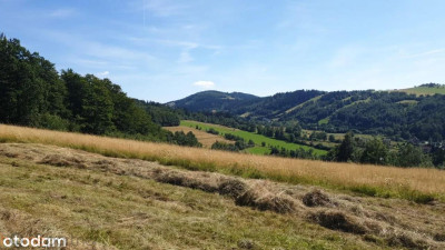 Działka w Górach Sowich - Walim  -
dolnośląskie Zdjęcie nr 7