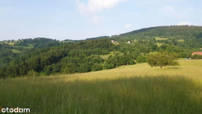 Działka w Górach Sowich - Walim  -
dolnośląskie Zdjęcie nr 10