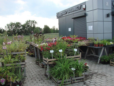 Działka usługowa ze sklepem - Miłoszyce  -
dolnośląskie Zdjęcie nr 6