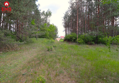 Działka w centrum - Płaska  -
PODLASKIE Zdjęcie nr 2
