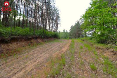Działka w centrum - Płaska  -
PODLASKIE Zdjęcie nr 3
