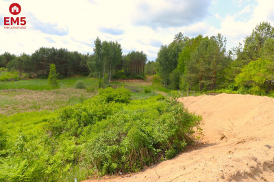 Działka  budowlana w centrum - Płaska  -
PODLASKIE Zdjęcie nr 5