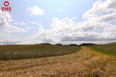 Działka rolno-budowlana Garbas II 55 ha - Garbas Drugi  -
PODLASKIE