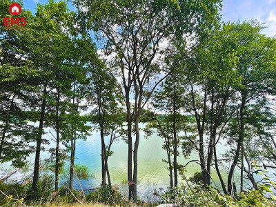 Działka budowlana - pierwsza linia w strefie ciszy - Dąbrówno  -
WARMIŃSKO-MAZURSKIE Zdjęcie nr 2