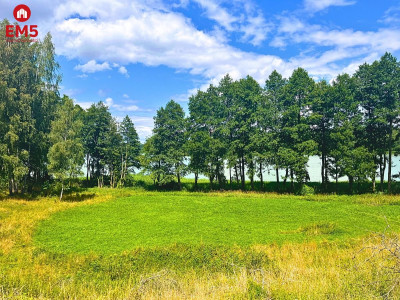 Działka budowlana - pierwsza linia w strefie ciszy - Dąbrówno  -
WARMIŃSKO-MAZURSKIE Zdjęcie nr 4