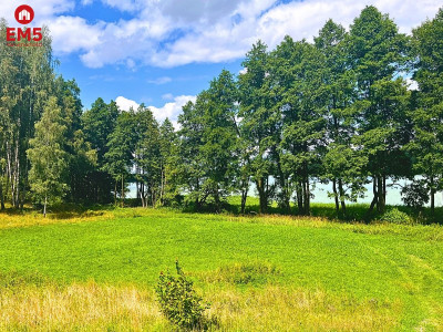 Działka budowlana - pierwsza linia w strefie ciszy - Dąbrówno  -
WARMIŃSKO-MAZURSKIE Zdjęcie nr 5