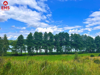 Działka budowlana z dostępem do jeziora - Mazury - Stare Miasto  -
WARMIŃSKO-MAZURSKIE Zdjęcie nr 2
