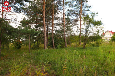 Działka budowlana pod Suwałkami - Białorogi  -
PODLASKIE Zdjęcie nr 3