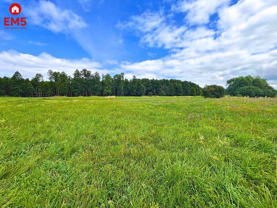 Działka budowlana przy mazurskim jeziorze  - Harsz  -
WARMIŃSKO-MAZURSKIE Zdjęcie nr 5