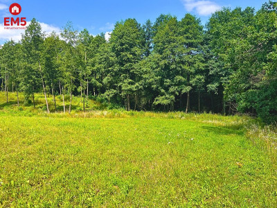 Działka budowlana z dostępem do jeziora - Dąbrówno  -
WARMIŃSKO-MAZURSKIE Zdjęcie nr 5