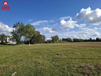 Działka inwestycyjna 22 ha - Kuriany  -
PODLASKIE Zdjęcie nr 5