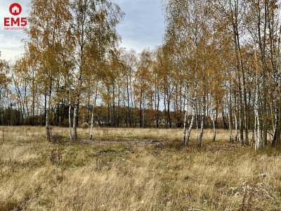 Sobolewo zaciszna  działka obok miasta - Sobolewo  - Podlaskie 