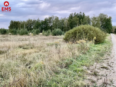 Sobolewo zaciszna  działka obok miasta - Sobolewo  -
Podlaskie  Zdjęcie nr 2