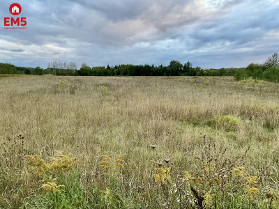 Sobolewo zaciszna  działka obok miasta - Sobolewo  -
Podlaskie  Zdjęcie nr 3