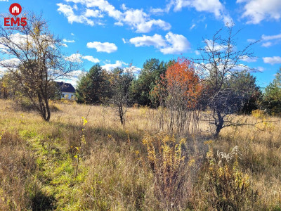 Sowlany działka 950m2 - Sowlany  -
PODLASKIE Zdjęcie nr 3