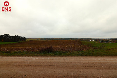 Działka rolno-budowlana  Żegary gm Sejny - Żegary  -
PODLASKIE Zdjęcie nr 11