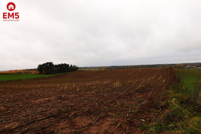 Działka rolno-budowlana  Żegary gm Sejny - Żegary  -
PODLASKIE Zdjęcie nr 13