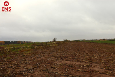 Działka rolno-budowlana  Żegary gm Sejny - Żegary  -
PODLASKIE Zdjęcie nr 2